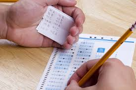 15. The Evolution of Cheating